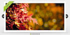 make jQuery slider for your website