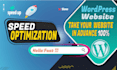 do wordpress speed optimization