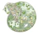 render your floor plan, site plan, elevation in photoshop