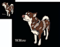 design trendy vector tracing using pen tool in just 2 hours