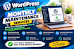 provide monthly wordpress maintenance and care
