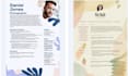 design professional CV resume writing services resume editing