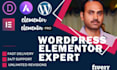 be your elementor or elementor pro expert for professional website design