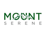 design excellent mountain logo