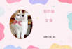 write cat articles and blog posts in chinese