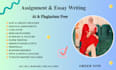 provide expert academic writer services