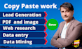 do copy paste data entry and lead generation excel