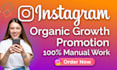 develop an organic growth instagram strategy