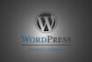 code special wordpress theme for you