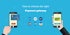 professionally integrate any payment gateway