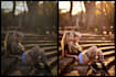 do bulk photo editing and retouching in lightroom
