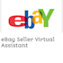 be your expert ebay virtual assistant