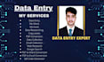 do data entry job