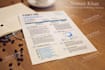 do professional resume design with infographics