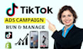 create tik tok ads and manage your tik tok campaigns