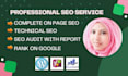 do wordpress on page and technical SEO service for your website