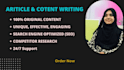 write a unique SEO article,or website content