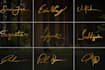 create a handwritten signature animation and intro