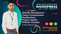 do theme customization and website modifications