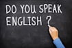 give you a basic 15 min English lesson via Skype