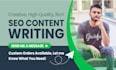 be your SEO article writer or blog content writer