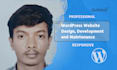 professional wordpress website design, development and maintenance