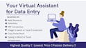 provide pro virtual assitance