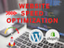 fix core web vitals errors and do speed optimization