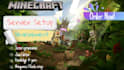 make you a professional minecraft server
