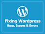wordpress bug, error fixing and debugging