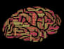 deliver neuroscience articles blogs and presentations