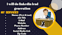 do linkedin lead generation, b2b, data entry in 3 hours