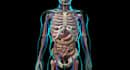 do 3d medical visualisation