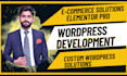 develop a professional website in wordpress