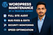 do ongoing wordpress maintenance, bug fixes, monthly care and security