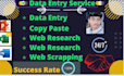 do perfect data entry, copy paste, web research