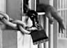 write a funny article about how to survive in prison