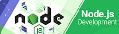 develop reactjs, nextjs, strapi, nodejs graphql web app