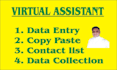 provide data entry, copy paste, web scraping and research