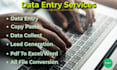 do data entry, copy paste, lead generation and many more