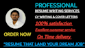 provide professional resume writing and CV writing services