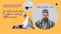 going to be your top quran tutor giving online lessons