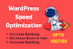 do wordpress website speed optimization, google page speed