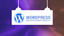 build, customize your wordpress website and redesigning