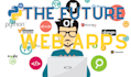 develop a web app using python