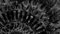 create an amazing psychedelic dark trippy visual music video