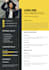 write a professional resume and cover letter