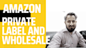 amazon fba wholesale virtual assistant