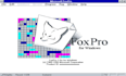 reconstruct and maintain your foxpro application