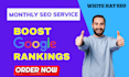 do complete monthly SEO service for google rankings